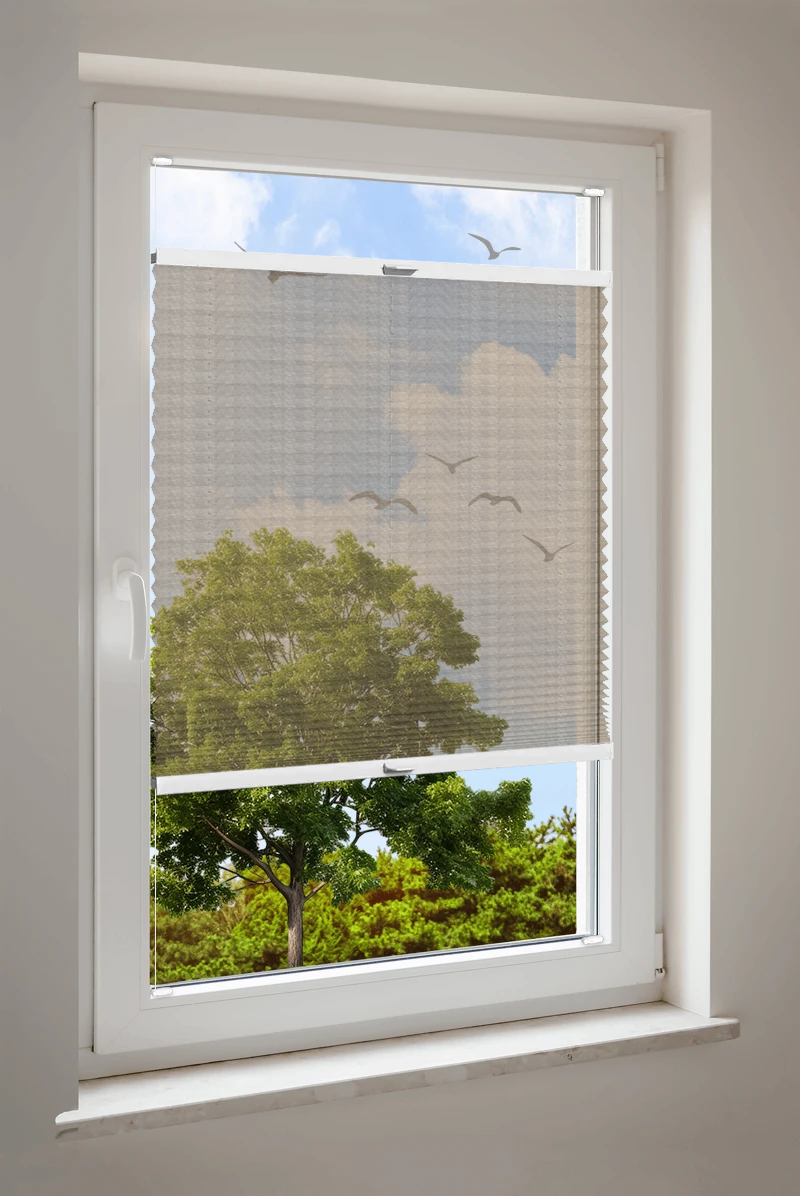 Plissee Cosiflor® VS2 Braun | transparent 3115