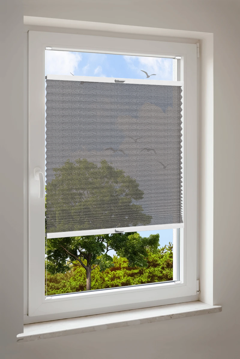 Plissee Cosiflor® VS2 Braun | transparent 3282