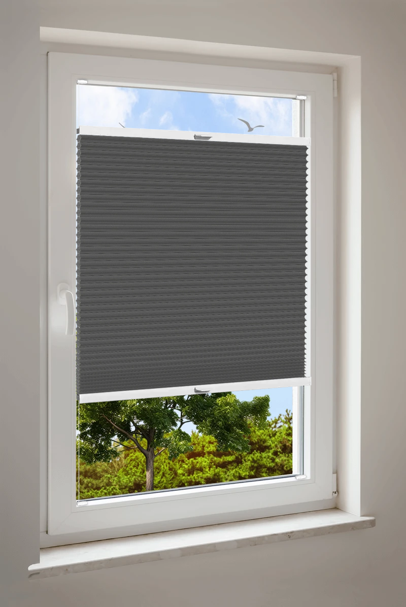 Wabenplissee Cosiflor® VS2 Schwarz | halbtransparent 1453