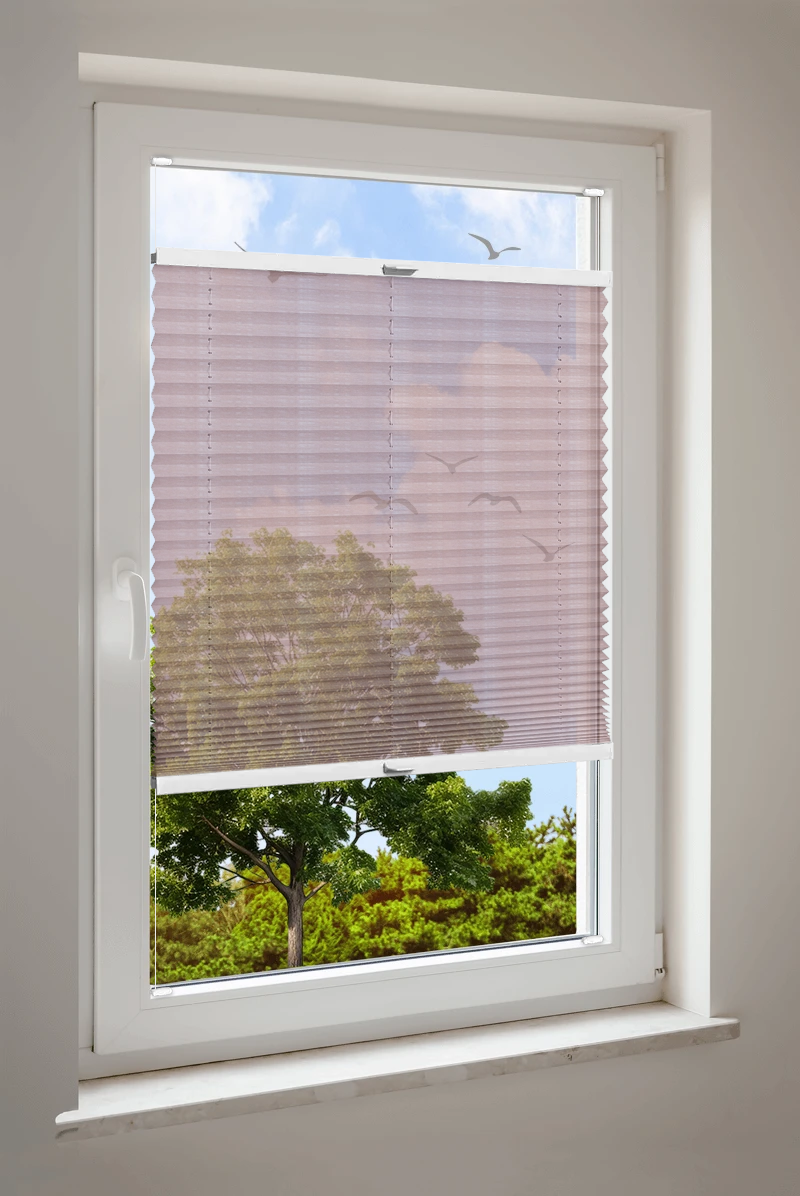 Plissee Cosiflor® VS2 Braun | transparent 3276