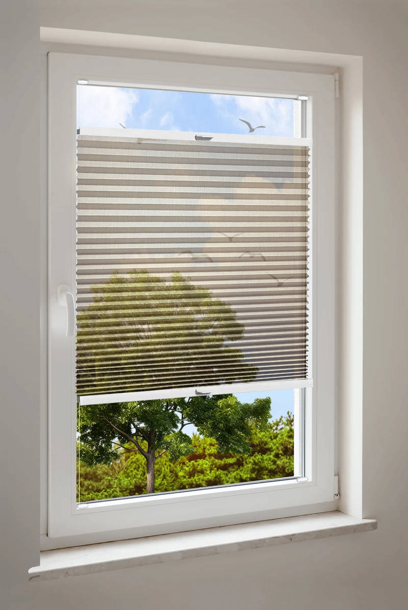 Plissee Cosiflor® VS2 Braun | transparent 3114