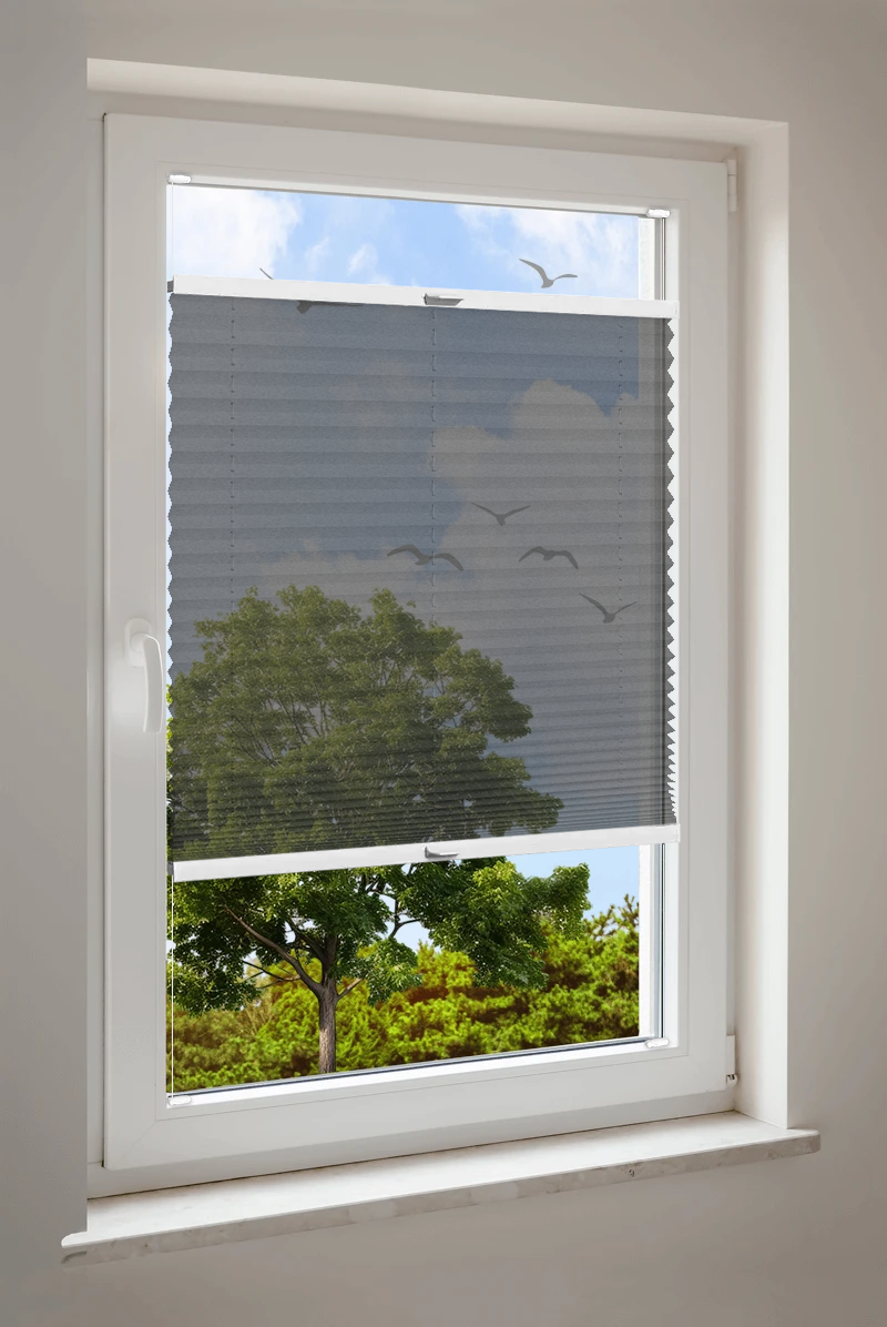 Plissee Cosiflor® VS2 Schwarz | halbtransparent 3420