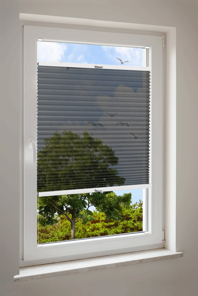 Plissee Cosiflor® VS2 Schwarz | transparent 3178